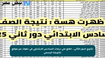 نتائج الدور الثاني.. اطلع على درجات السادس الابتدائي في دهوك عبر موقع نتائجنا الرسمي